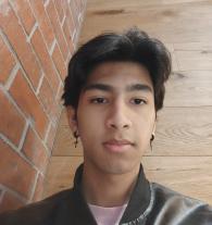 Rohan , Maths tutor in Blackburn North, VIC